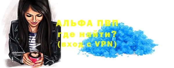 стафф Алзамай