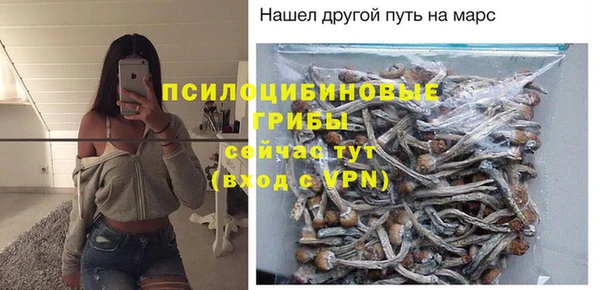 стафф Алзамай