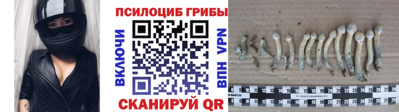 mega ССЫЛКА  Жирновск  Галлюциногенные грибы Magic Shrooms  дарнет шоп 